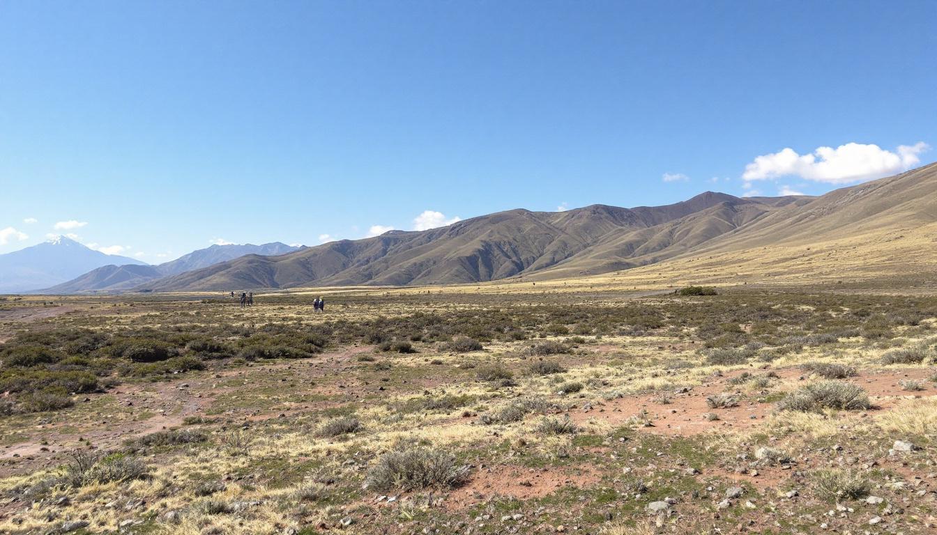 découvrez les avantages pratiques et esthétiques de l'écran de projection enroulable pour sublimer votre salle de cinéma à domicile, alliant gain d'espace et qualité d'image optimale.