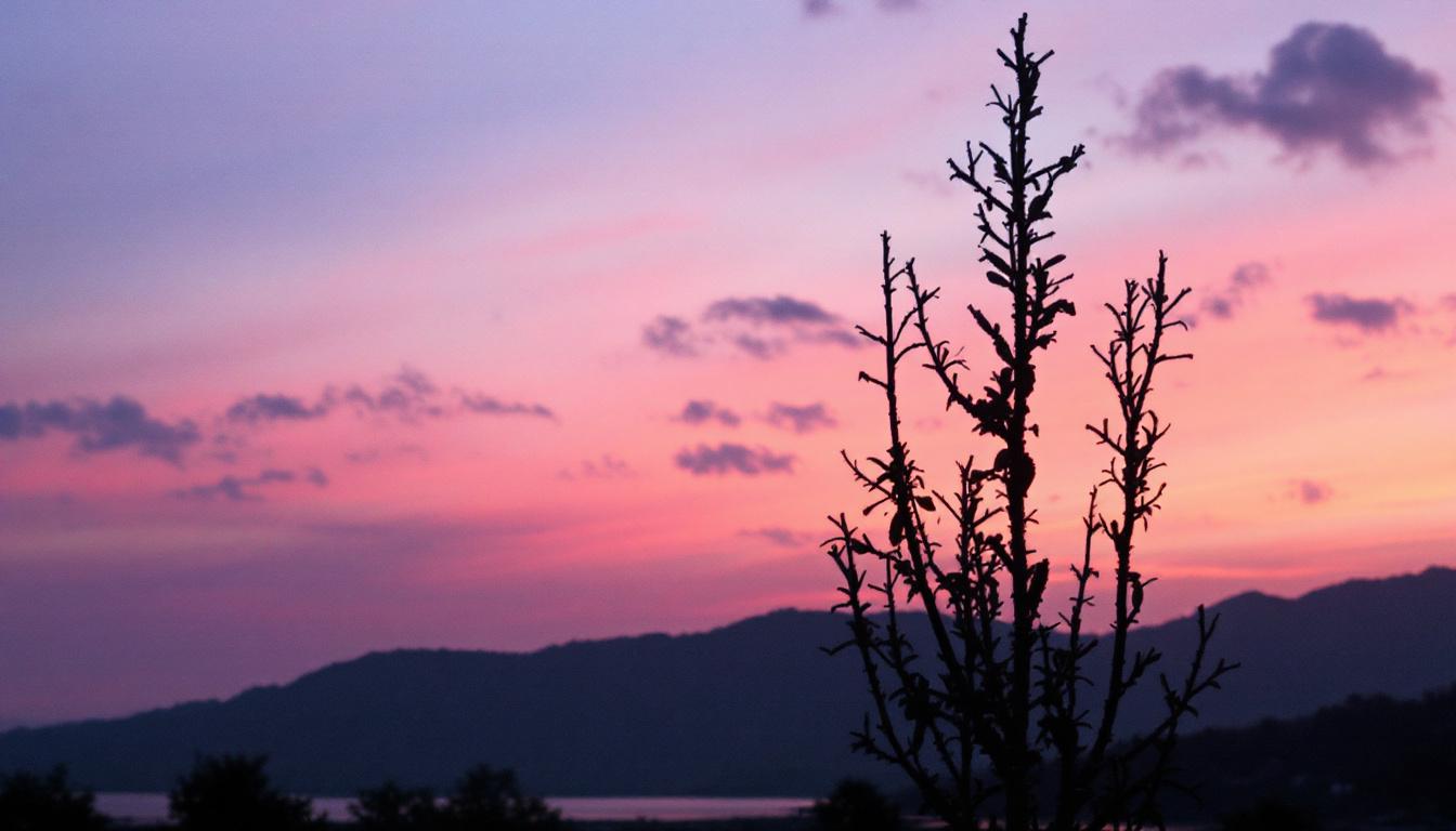 découvrez pourquoi choisir les meilleures agences de création de site internet à angers garantit un site professionnel, performant et adapté à vos besoins pour booster votre présence en ligne.